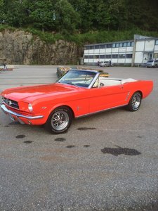 IMG_0138.jpeg