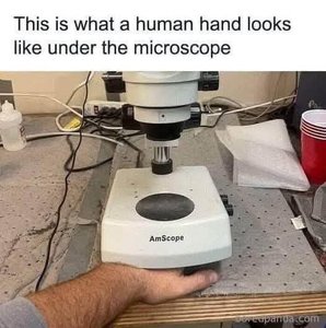 IMG_4984.jpeg