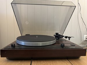 IMG_0422.JPEG