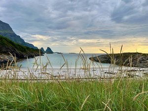 IMG_8477.jpeg