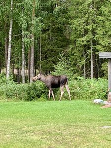 IMG_1507.jpeg