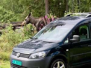 IMG_1513.jpeg