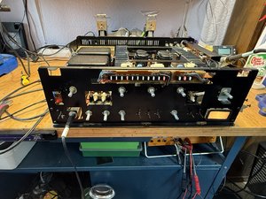 IMG_0790.jpeg