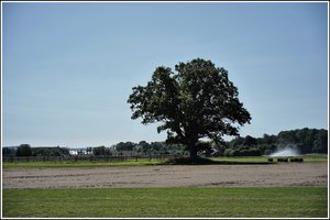 IMG_5454.jpeg