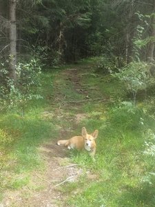 20250823_143839.jpg