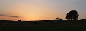 IMG_8199.JPG