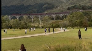 IMG_2100.jpeg