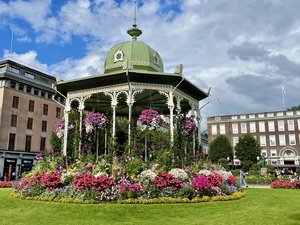 IMG_0878.jpeg