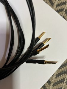 IMG_2411.jpeg