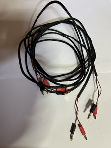 IMG_2413.jpeg