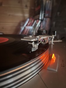 IMG_5321.jpeg
