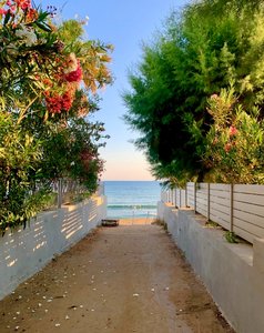 7-IMG_1425.jpg