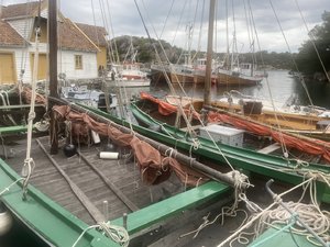 IMG_1909.jpeg
