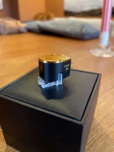 IMG_7608.jpeg