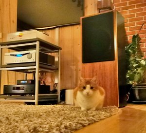 IMG_20250902_003117.jpg