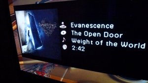Evanescense.JPG