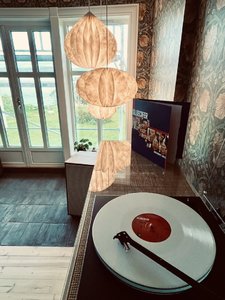IMG_3965.jpeg