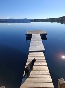 IMG_2158.jpeg