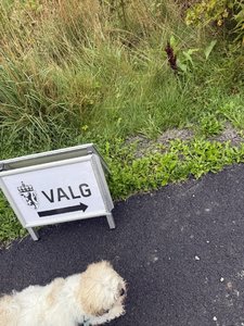 IMG_1078.jpeg