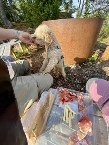 IMG_8774.jpeg