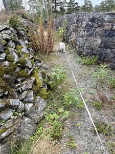 IMG_1102.jpeg