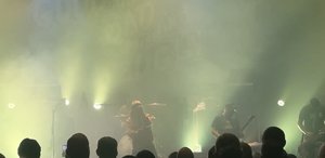 IMG_2929.jpeg