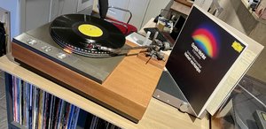 IMG_5937.jpeg
