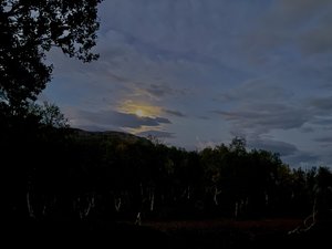 IMG_9237.jpeg