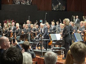 IMG_9767.jpeg