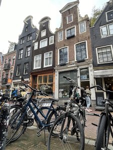 IMG_9826.jpeg
