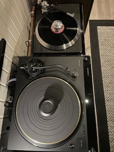 IMG_7100.jpeg