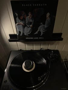 IMG_7101.jpeg