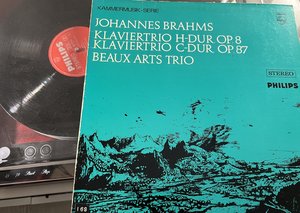IMG_3036.jpeg