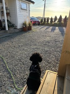 IMG_0462.jpeg