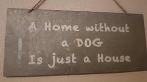 IMG_20250925_090552 (2).jpg