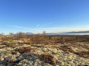 IMG_5331.jpeg