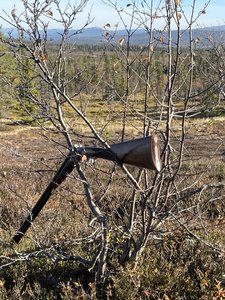 IMG_5340.jpeg