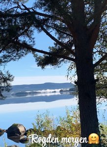IMG_2442.jpeg