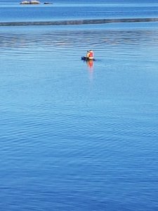 20250924_142726.jpg