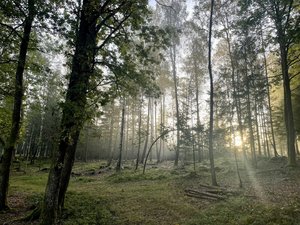 IMG_6243.jpeg