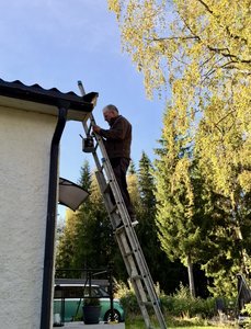 IMG_2456.jpeg