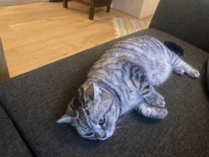 IMG_2069.jpeg