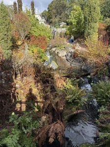 IMG_1364.jpeg