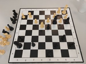 20250930_153815.jpg