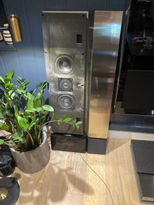 IMG_7347.jpeg