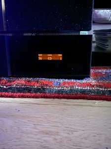 IMG_7351.jpeg