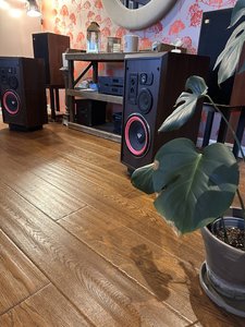 IMG_3086.jpeg