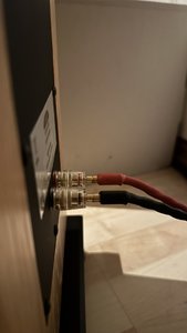 IMG_9755.jpeg