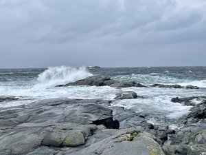 IMG_1011.jpeg