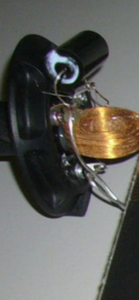 IMG_1444.png